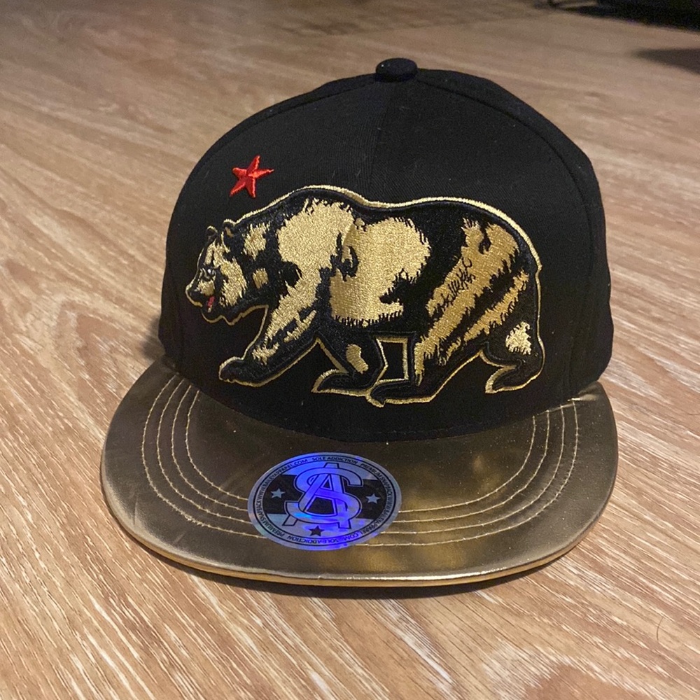 California Grizzly Bear SnapBack Hat
